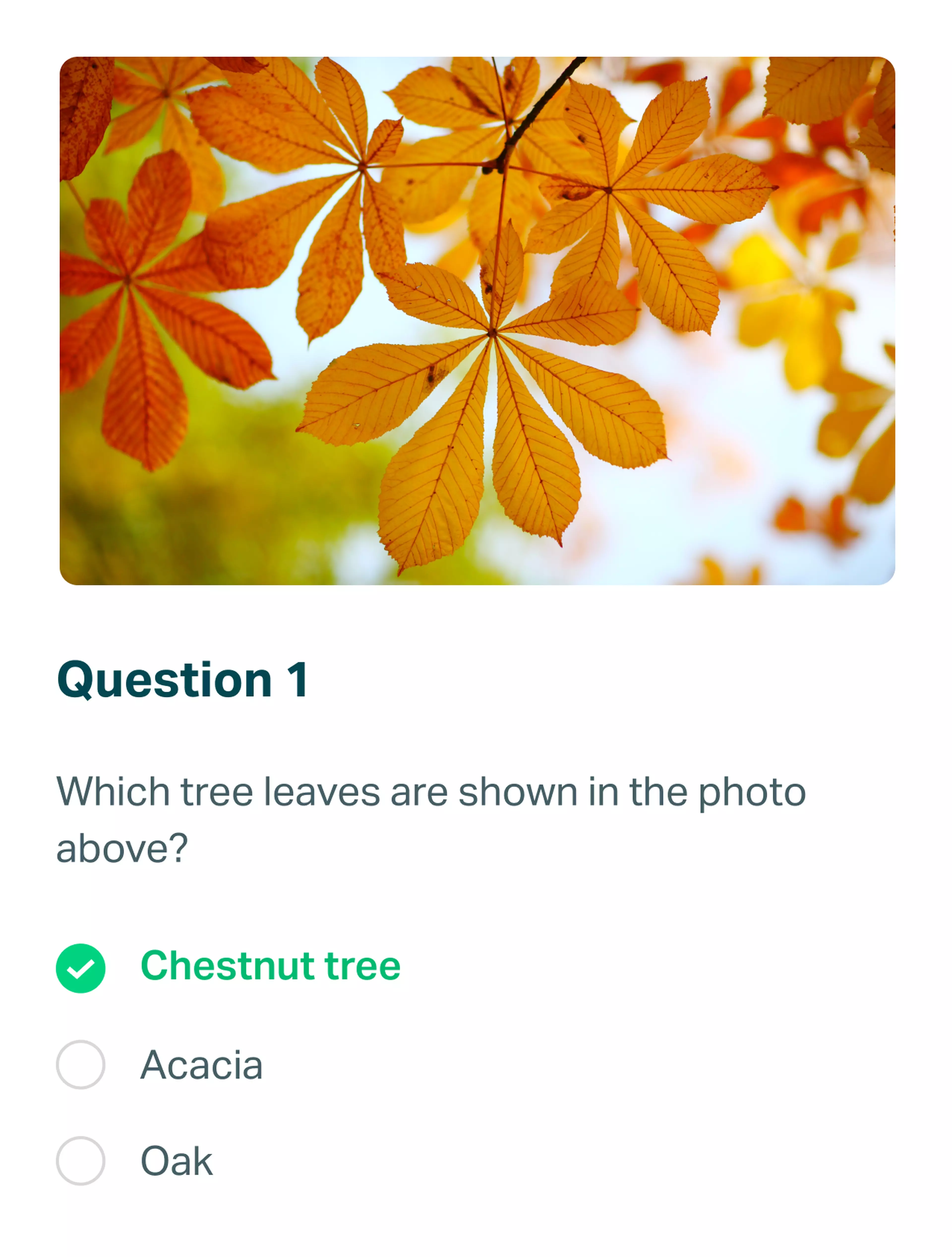 Testportal online quiz question with chestnut leaves photo.